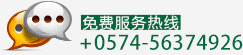 免费服务热线: +13386619787